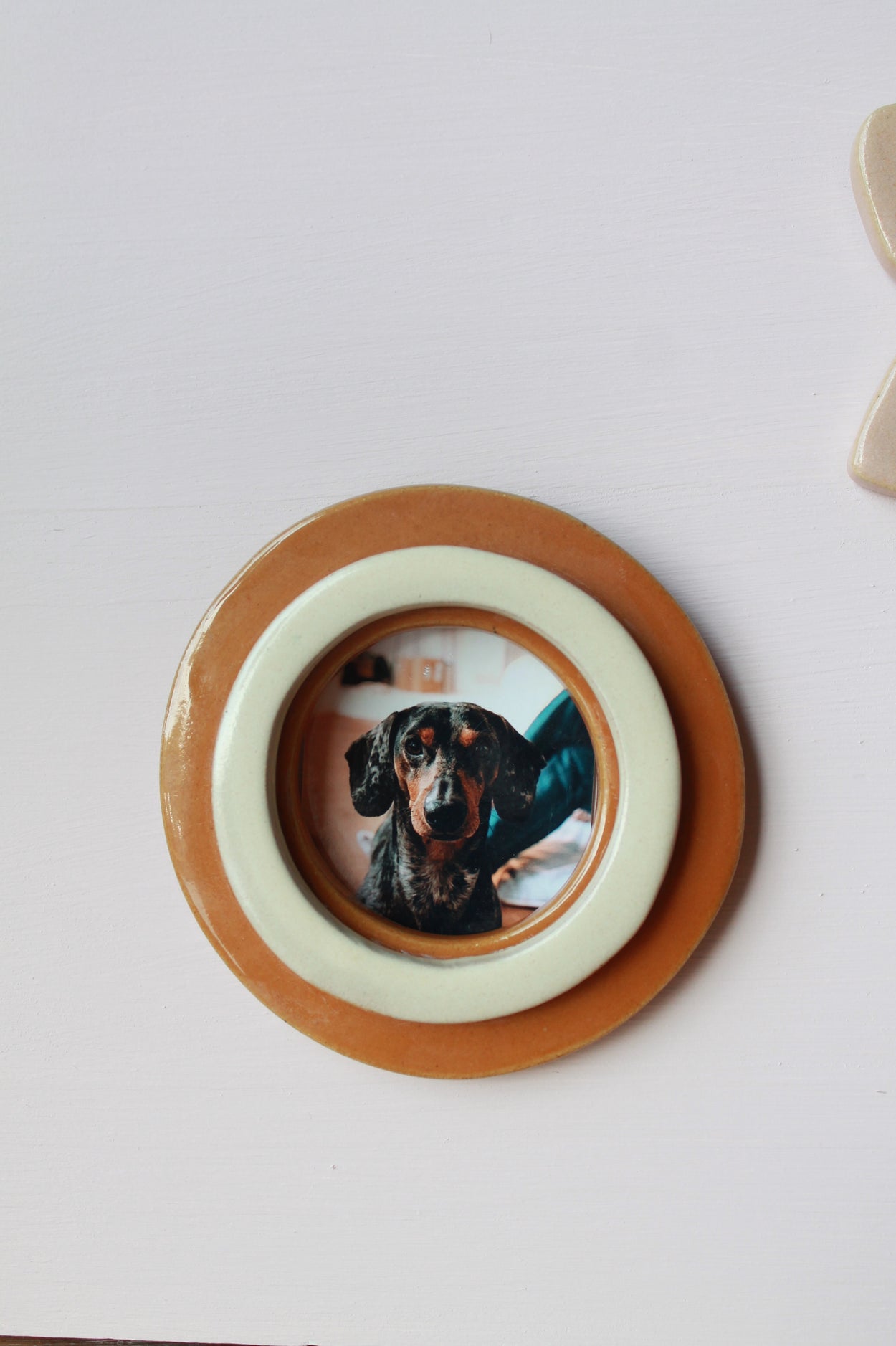 Petit cadre rond orange et blanc avec au centre une photo de chien
